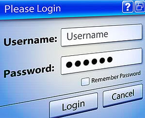 Guess the Password Game